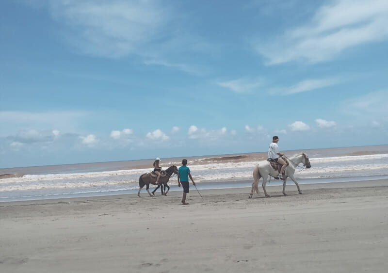 Acapulco: Horseback Riding, Turtle Camp, and Crocodile Tour - Final Thoughts