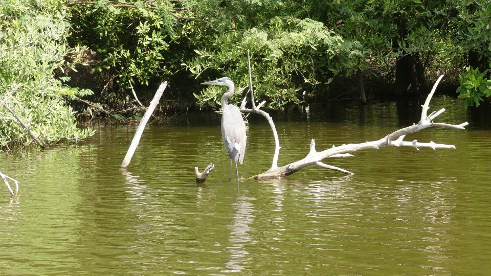 Acapulco: Mezcal Tasting and 3 Palos Lagoon Tour With Lunch - Discovering 3 Palos Lagoon
