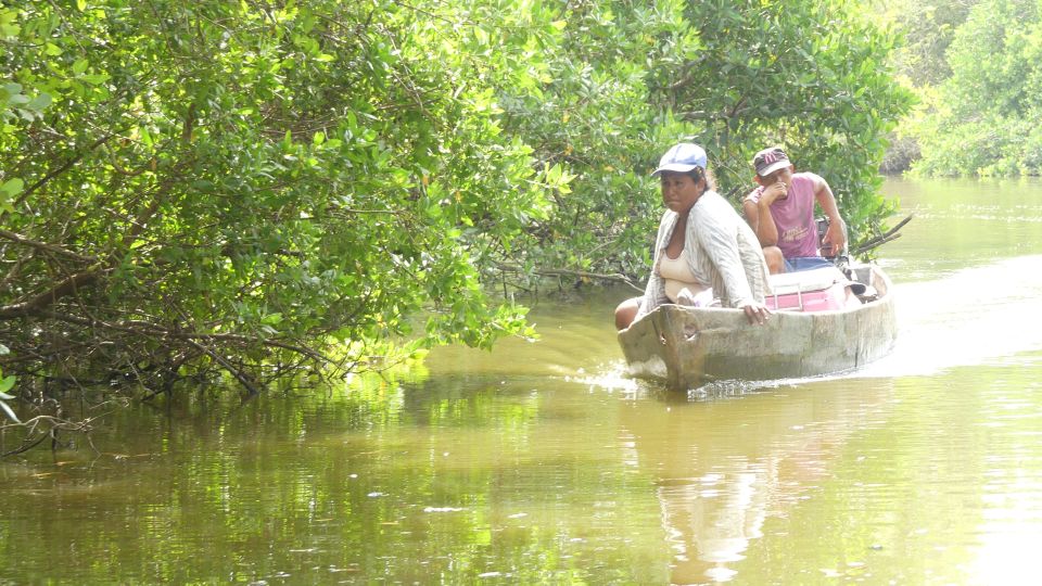 Acapulco: Mezcal Tasting and 3 Palos Lagoon Tour With Lunch - Tour Pricing