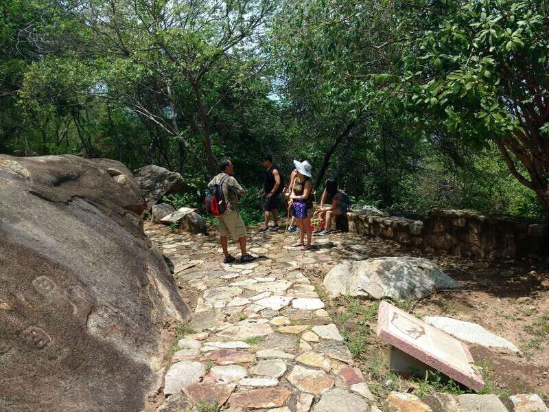 -Acapulco: Palma Sola Petroglyphs Experience Market + Lunch - Logistics and Practical Tips