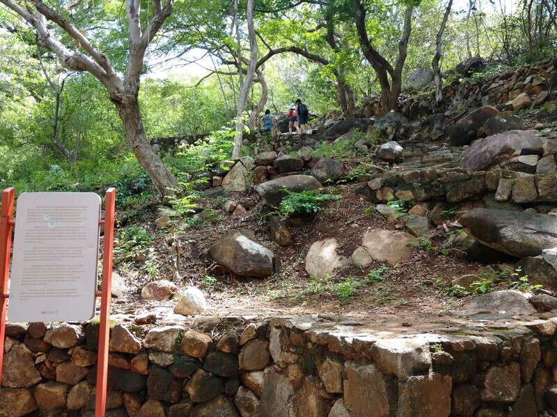 -Acapulco: Palma Sola Petroglyphs Experience Market + Lunch - Authentic Experiences and Considerations