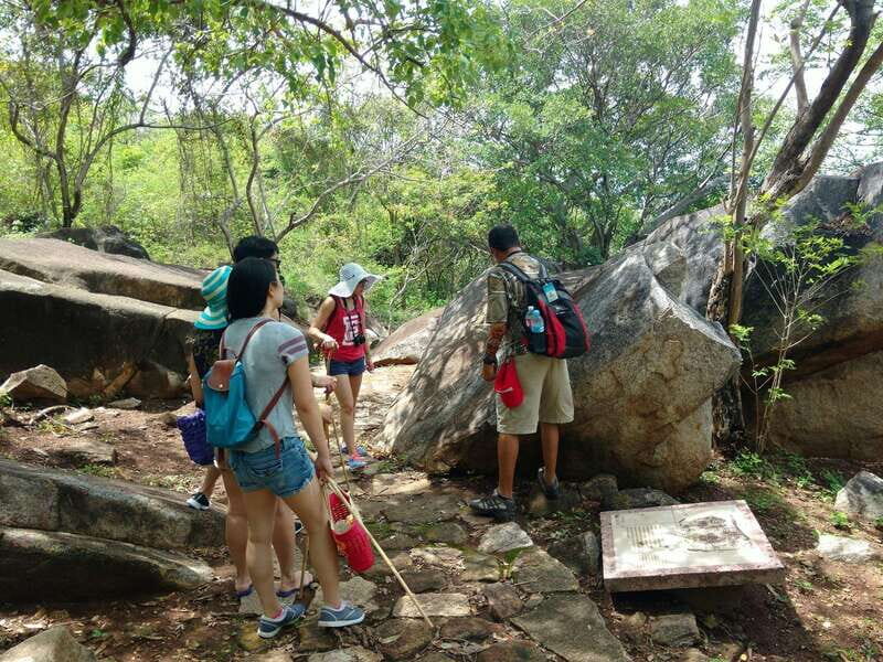 -Acapulco: Palma Sola Petroglyphs Experience Market + Lunch - Who Should Consider This Tour?