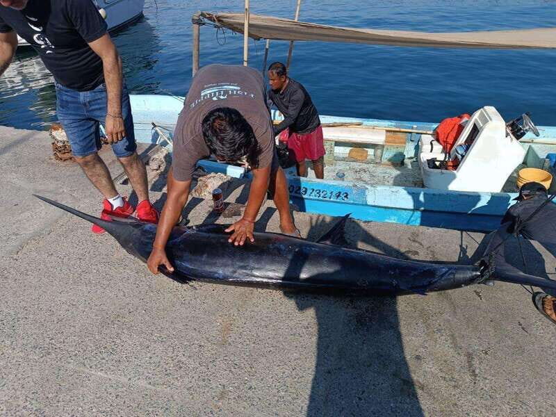 Acapulco: Private Fishing Experience - FAQ