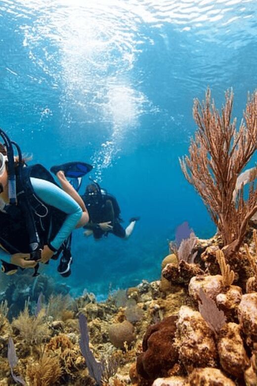 Acapulco: Scuba Diving in Roqueta Island - Why This Tour Works Well