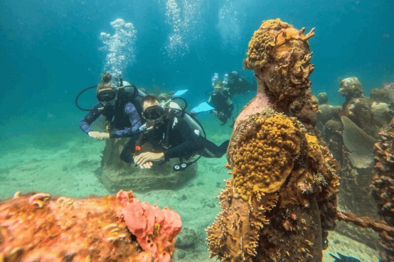 Acapulco: Scuba Diving in Roqueta Island - Who Should Consider This Tour?