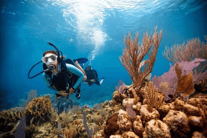 Acapulco: Scuba Diving in Roqueta Island - FAQ