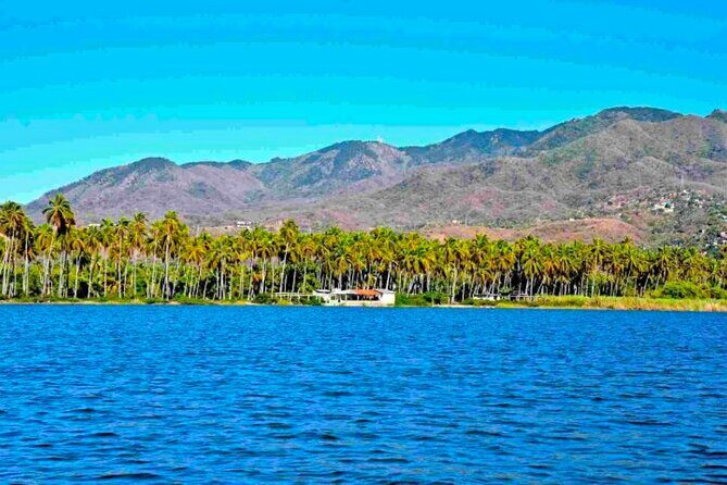 Acapulco Shore Excursion: Coyuca Lagoon Cruise - Exploring the Coyuca Lagoon Cruise: A Relaxing Day in Acapulco