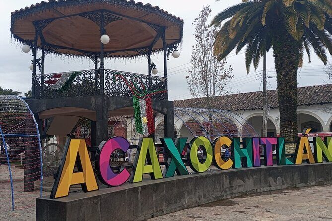 Acaxochitlán Local Community and Traditions Tour from Mexico - A Deep Dive into the Experience