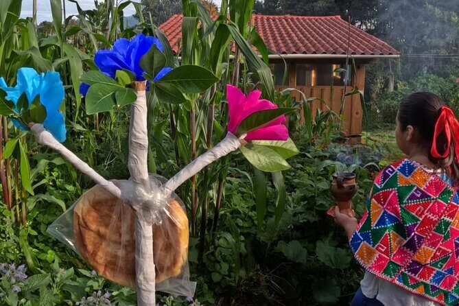 Acaxochitlán Local Community and Traditions Tour from Mexico - The Value Proposition