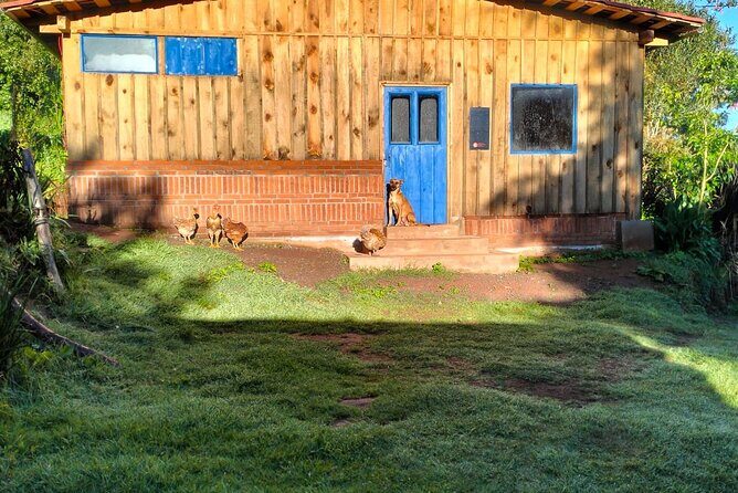 Acaxochitlán Local Community and Traditions Tour from Mexico - Who Should Consider This Tour?