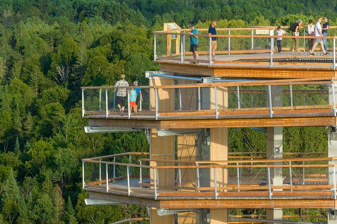 Access to Mont-Tremblant Treetop Observatory and Walk - Highlights of the Visitor Experience