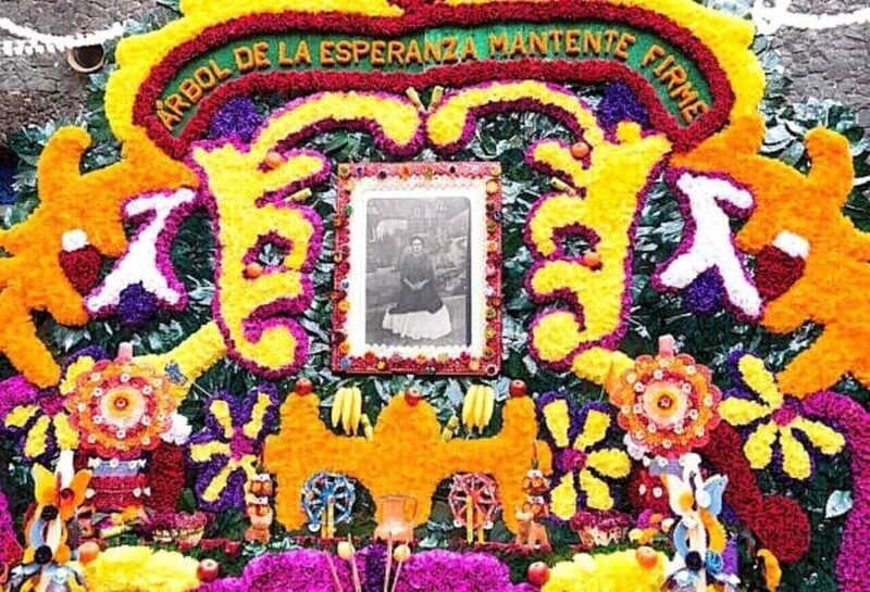 Access to the Frida Kahlo Museum or Casa Kahlo Museum with a Digital Guide - What to Expect from Your Visit