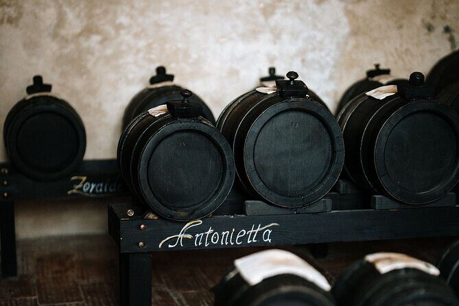 Acetaia Classica - Balsamic Vinegar Factory Tour & Tasting - Final Thoughts