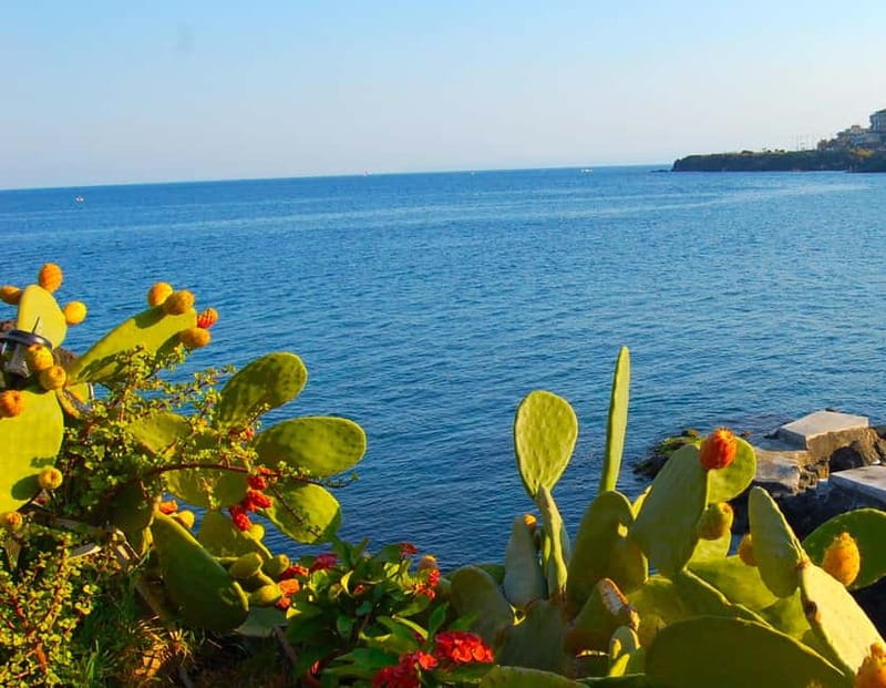 Aci Trezza and Aci Castello: Guided Tour with Granita - In Summary  