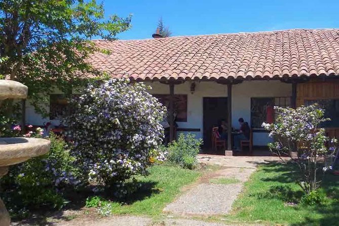 Aconcagua Private Wine Lovers Premium Tour - Included Meals and Transportation