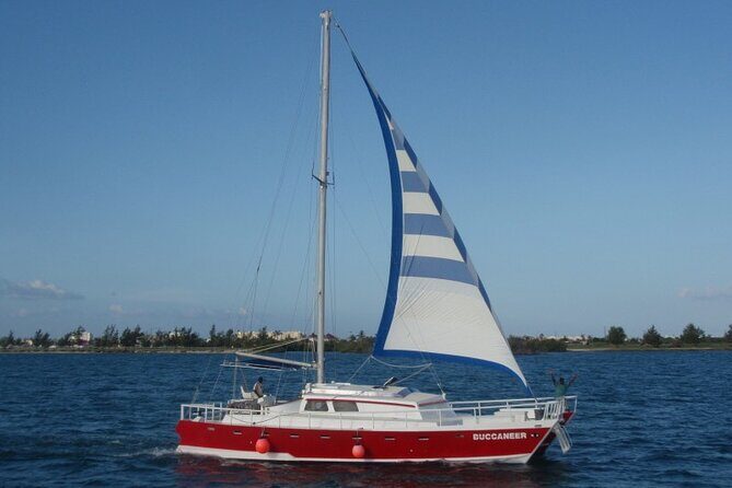 Acquarius Stingray City and Snorkel Tours - The Experience: Authentic and Enjoyable