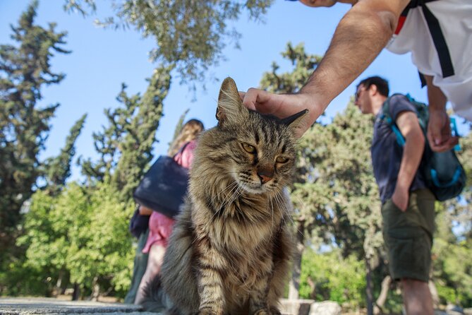 Acropolis of Athens, Ancient Agora and the Agora Museum Tour - Discover the Hephaestus Temple
