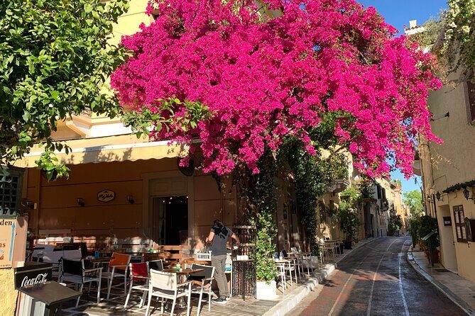 Acropolis & Plaka Neighbourhood Private Tour with Licensed Expert - Practical Considerations for Travelers
