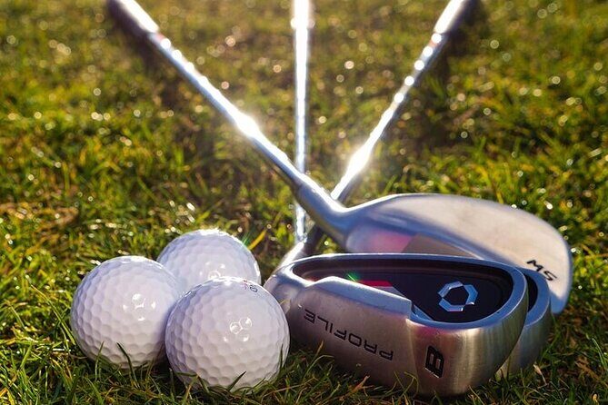 Active 1 Hour Private Professional Golf Tour in Streamsong - What to Expect During Your Hour on the Greens