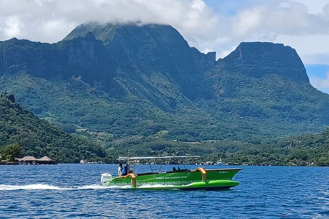 Activity/Excursion Lagoon Tour to Moorea by Canoe 6 hours - Who Will Love This Tour?