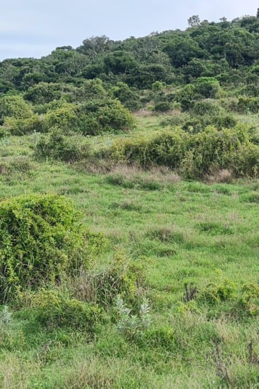 Addo Elephant National Park - Half Day Private Tour - Good To Know