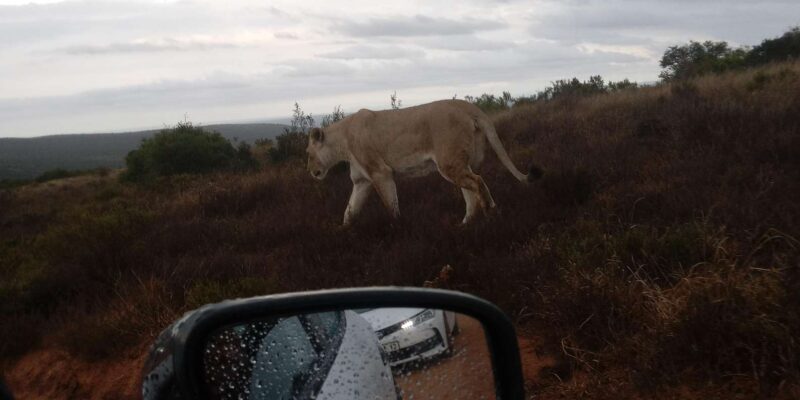 : Addo Elephant National Park Safari - Booking and Payment Information