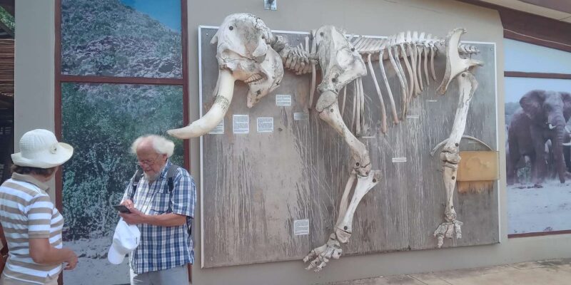 : Addo Elephant National Park Safari - Inclusions and Exclusions