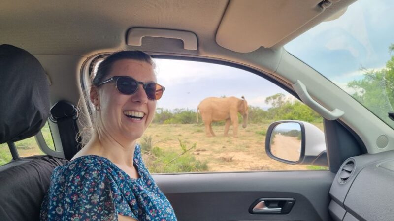 Addo Elephant Park and Giraffe Walk Private Full Day Safari - Pricing and Inclusions