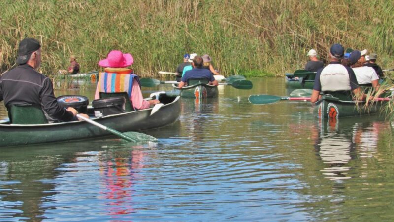 Addo River Safari - Guided Tour via Canoe - Highlights of the Experience
