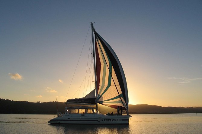 ADDO to CAPE TOWN: Addo - Garden Route - Route 62 - Winelands (6 Days) - Traversing the Picturesque Garden Route