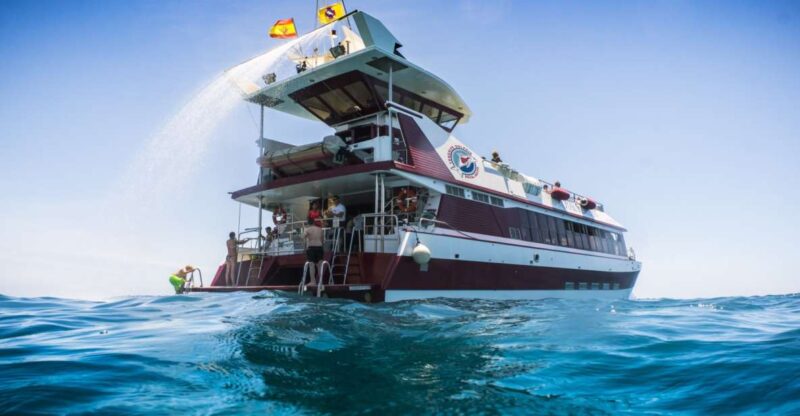 Adeje: Whale and Dolphin Watching Cruise With Lunch and Swim - Highlights and Experience