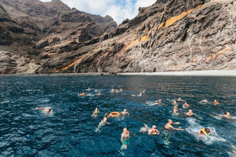 Adeje: Whale and Dolphin Watching Cruise With Lunch and Swim - Accessibility and Important Information