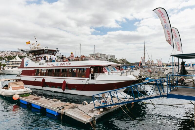 Adeje: Whale and Dolphin Watching Cruise With Lunch and Swim - Customer Reviews and Ratings