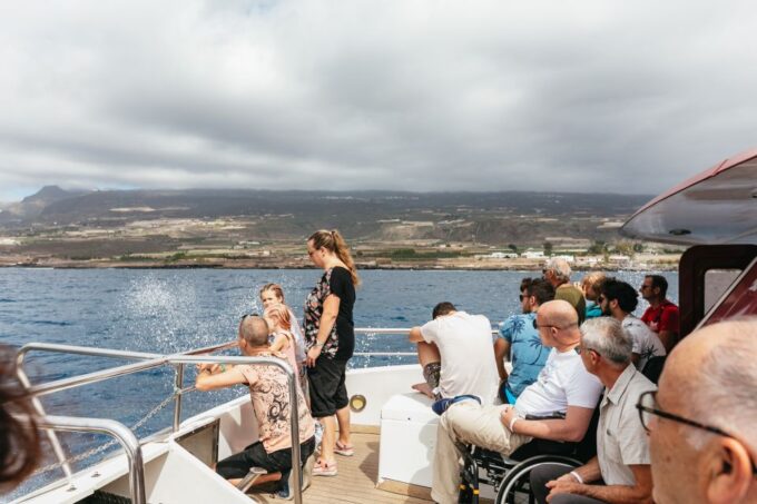 Adeje: Whale and Dolphin Watching Cruise With Lunch and Swim - Departure Locations and Cruise Options