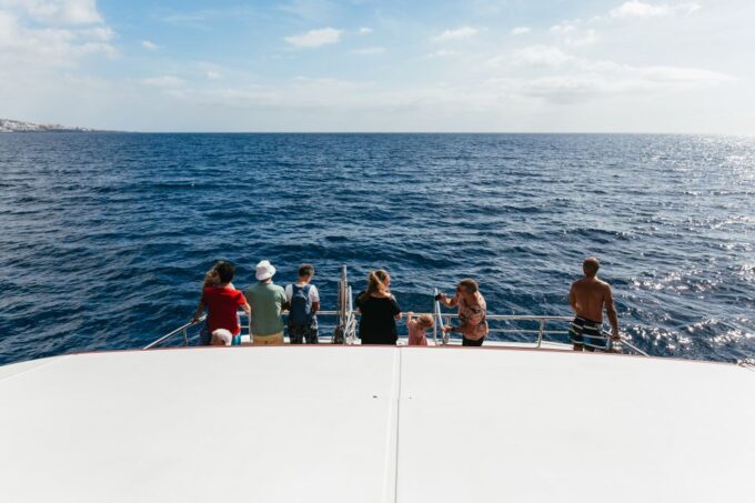 Adeje: Whale and Dolphin Watching Cruise With Lunch and Swim - What to Expect on the Whale and Dolphin Watching Cruise