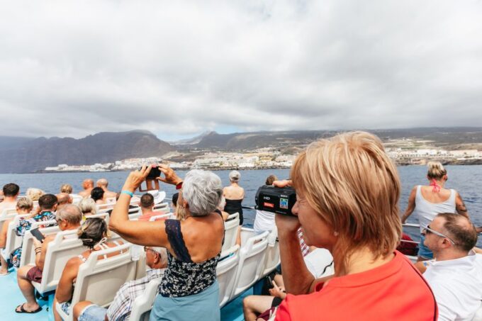 Adeje: Whale and Dolphin Watching Cruise With Lunch and Swim - Frequently Asked Questions