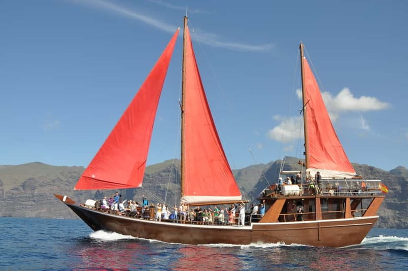 Adeje: Whale Watching Tour to Los Gigantes with lunch & swim - Key Points