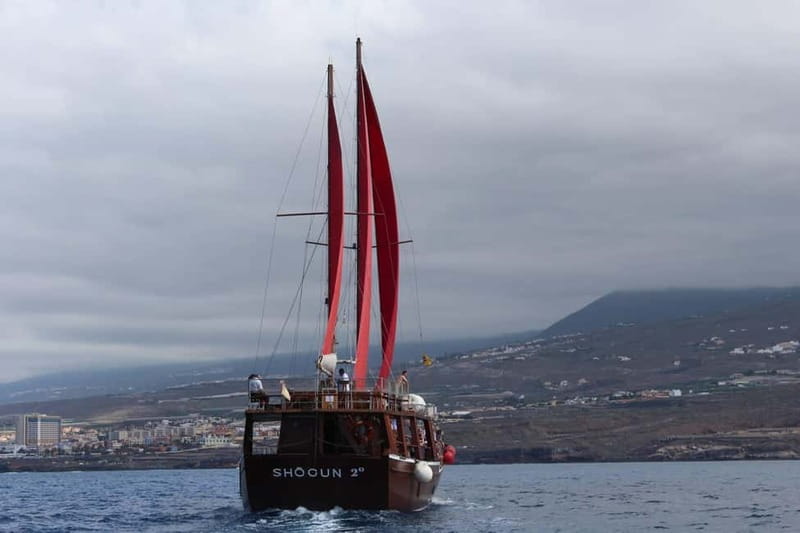Adeje: Whale Watching Tour to Los Gigantes with lunch & swim - Price and Value