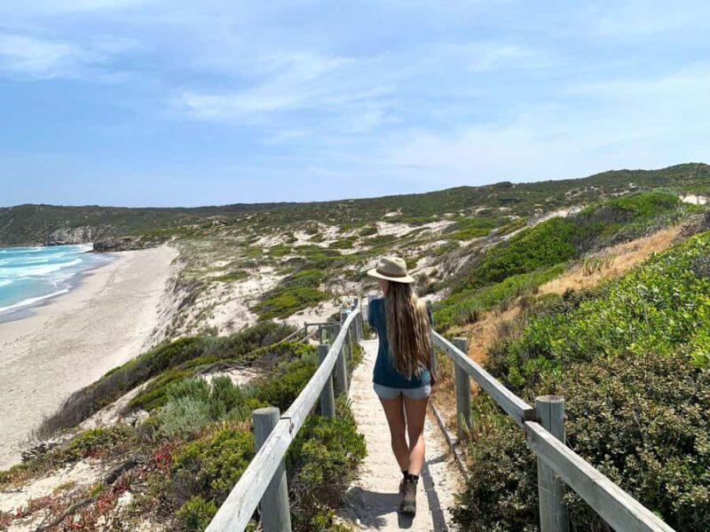 Adelaide: 3-Day Kangaroo Island Adventure Tour with Camping - Key Points
