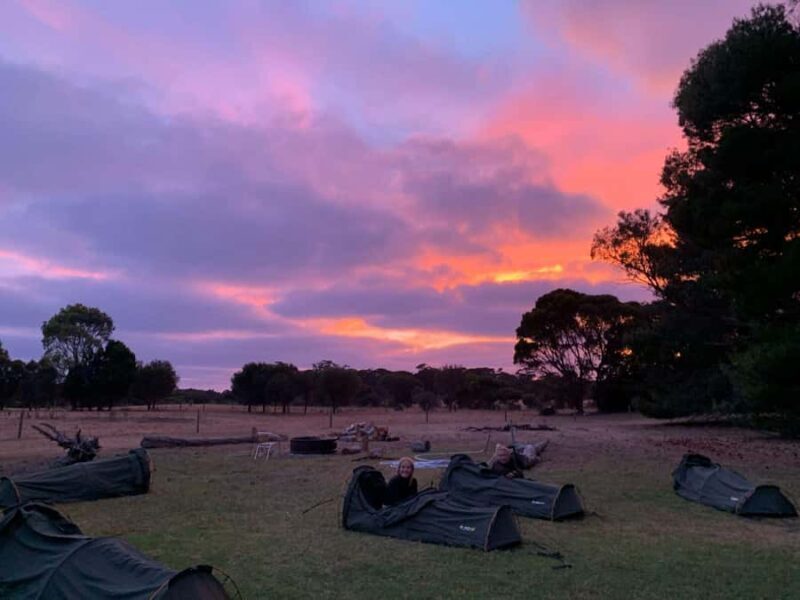 Adelaide: 3-Day Kangaroo Island Adventure Tour with Camping - Final Thoughts