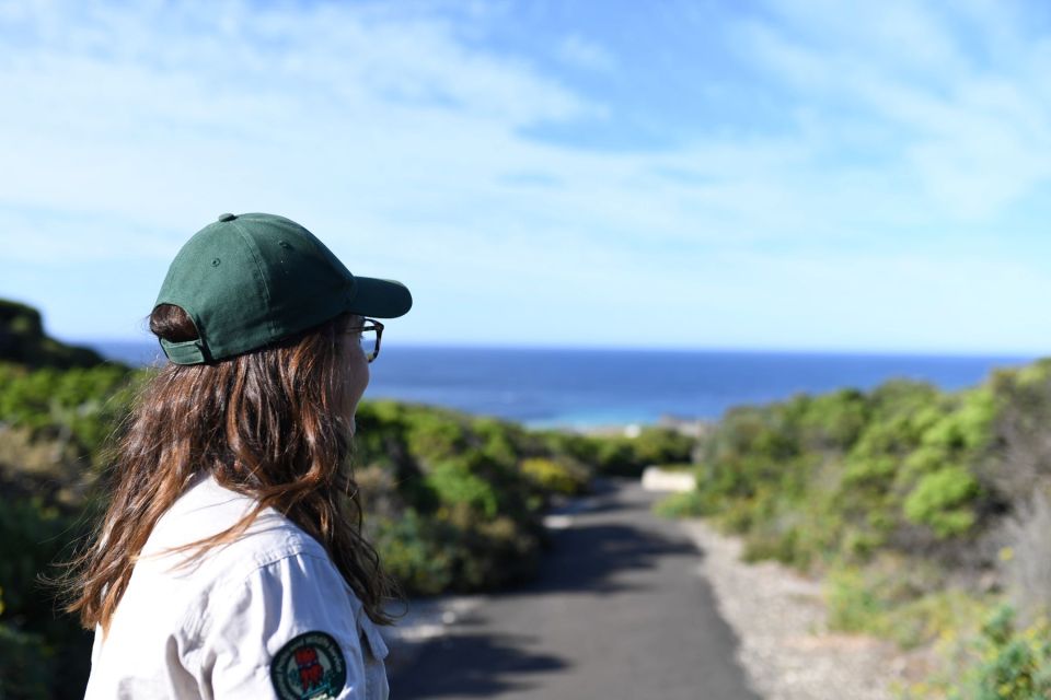 Adelaide: 3-Day Kangaroo Island Adventure Tour With Camping - Itinerary Overview