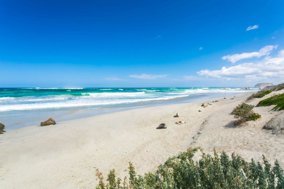 Adelaide: 3-Day Kangaroo Island Adventure Tour With Camping - Important Information
