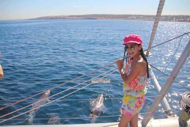 Adelaide: 4-Hour Guaranteed Wild Dolphin Watching Cruise - The Sum Up: Who Should Book This Dolphin Cruise?