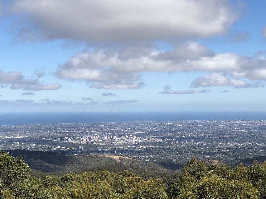 Adelaide: Adelaide Hills and Hahndorf Guided Tour With Lunch - Inclusions and Exclusions