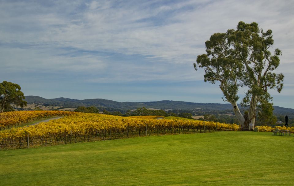 Adelaide: Adelaide Hills and Hahndorf Guided Tour With Lunch - Tour Highlights