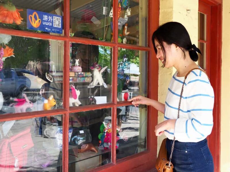 Adelaide: City, Adelaide Hills Villages, and Hahndorf Tour - Practical Tips for Travelers