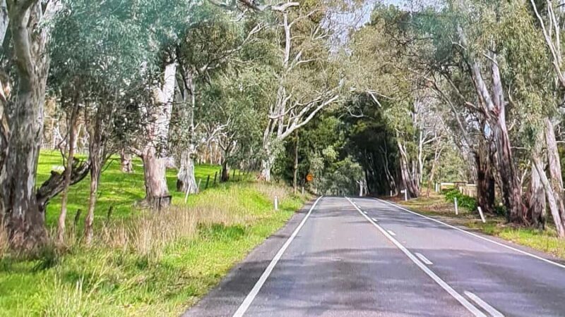 Adelaide City Highlights Full-Day Tour - A Closer Look at the Adelaide City Highlights Full-Day Tour