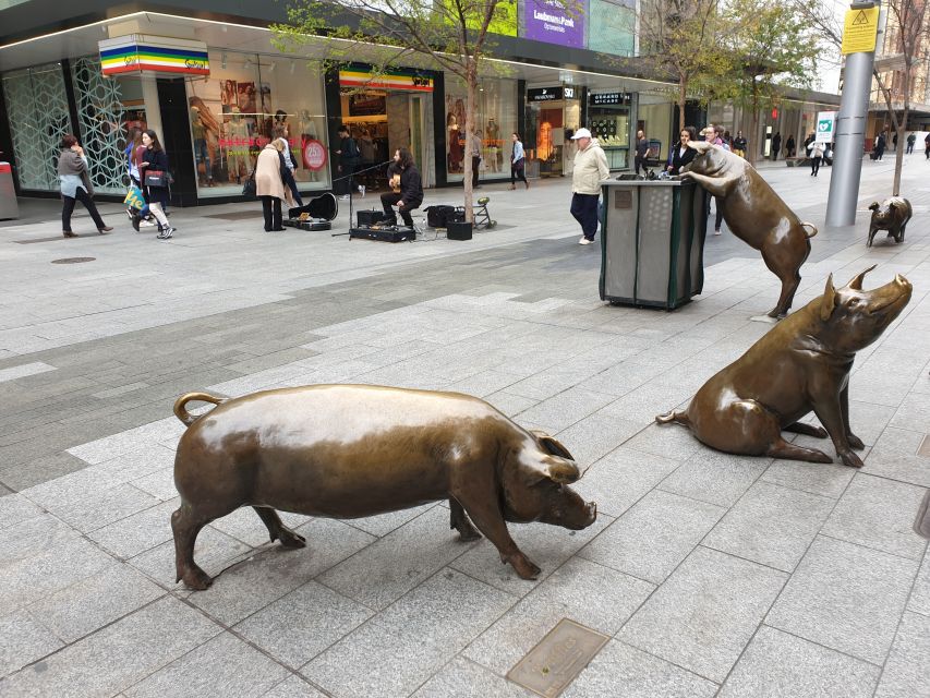 Adelaide: City Highlights Walking Tour With Guide - What to Bring