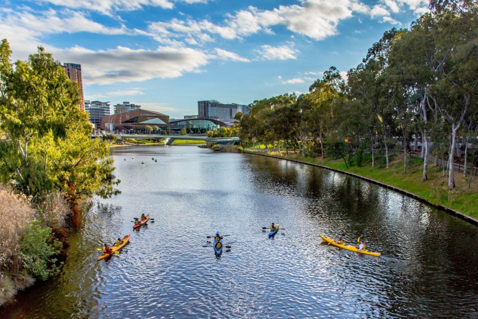 Adelaide: City Kayaking Experience - Key Points