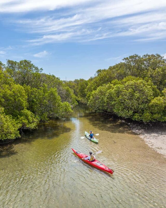 Adelaide: City to Sea, Bike and Kayak Safari - Final Thoughts